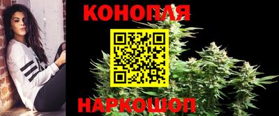 дживик Аша