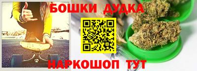 дживик Аша