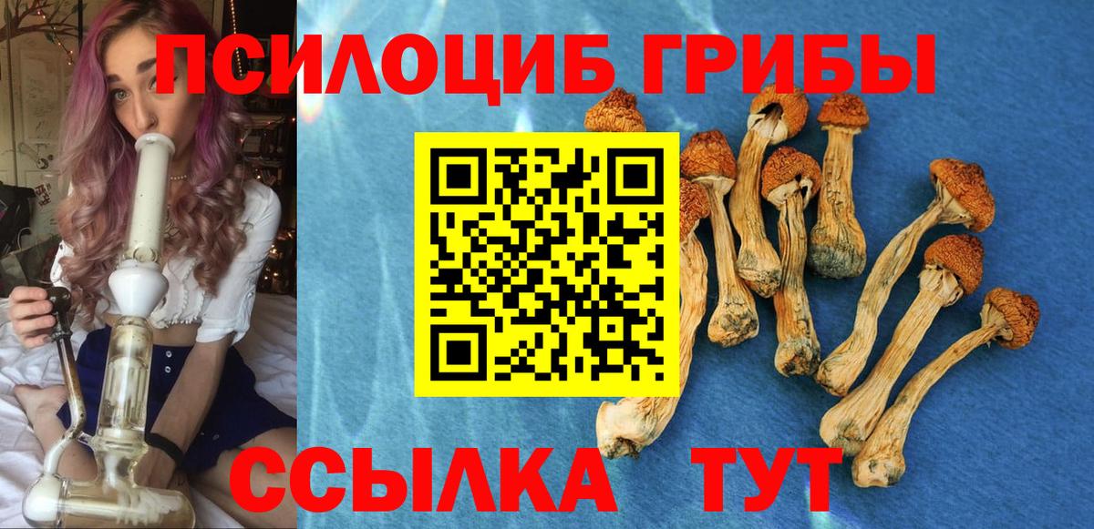 Галлюциногенные грибы Magic Shrooms Боровичи