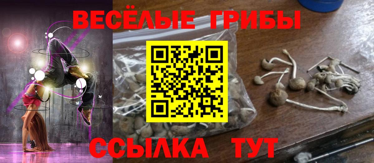 Галлюциногенные грибы прущие грибы  Вход с VPN  Боровичи 